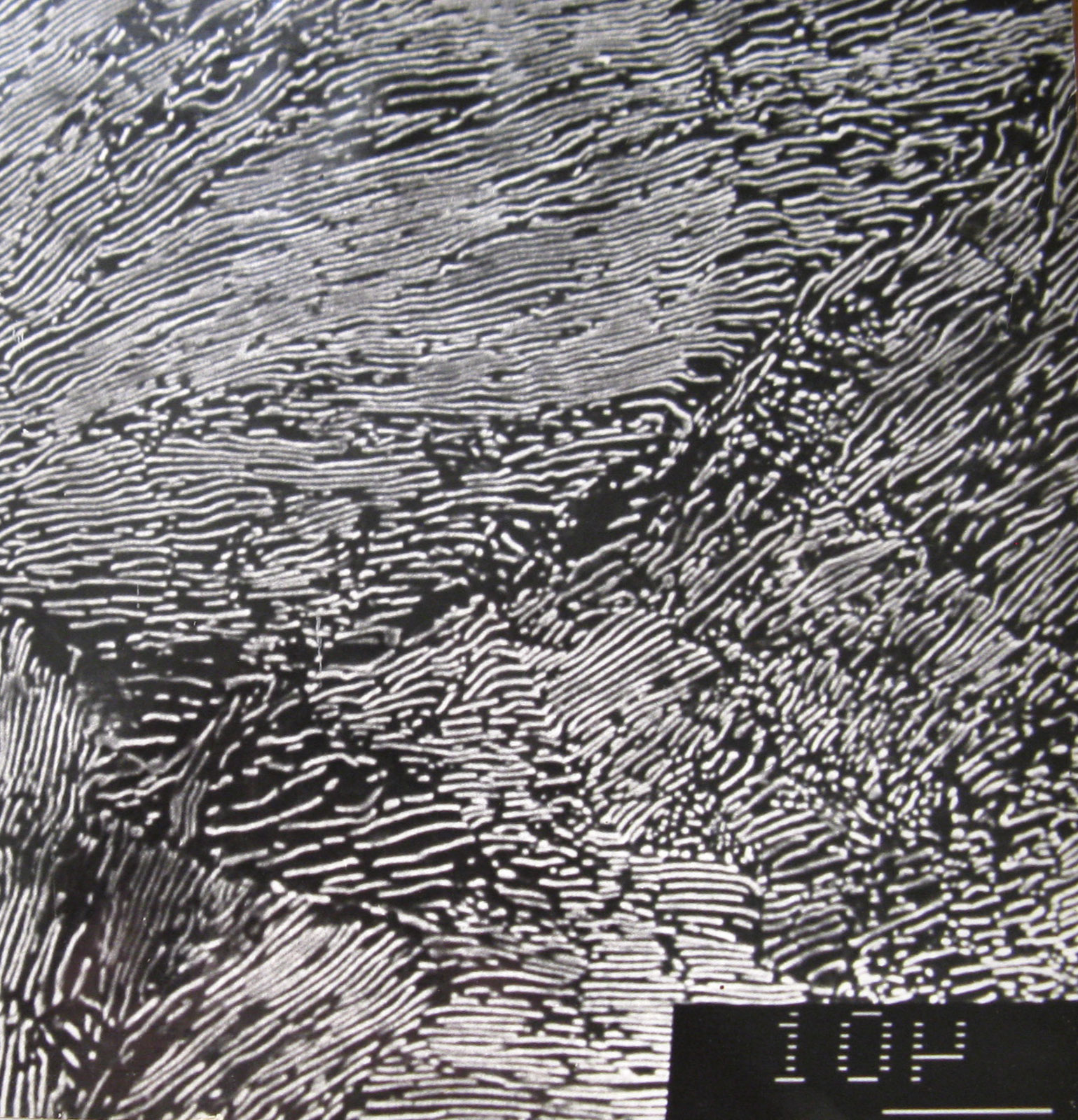 SEM micrograph of lamellar pearlite in 0.8% carbon eutectoid steel after annealing