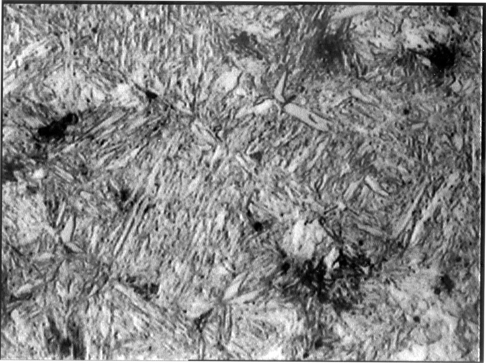 Optical micrograph of water-quenched steel showing lath martensite microstructure