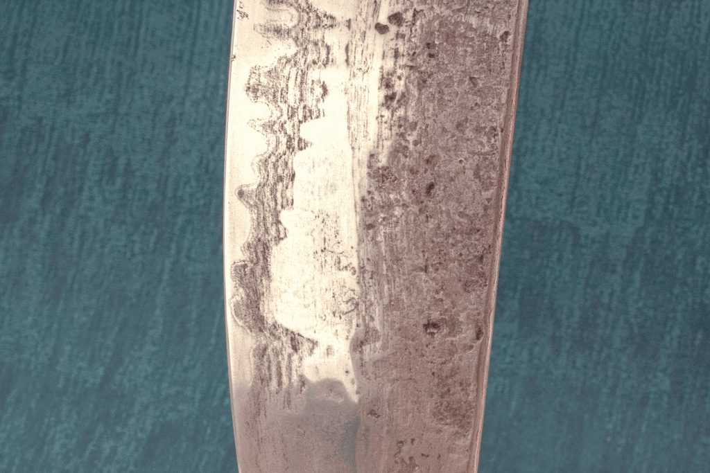 Closeup_MG_0741.webp